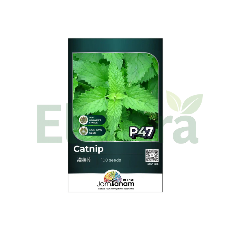P47 CATNIP